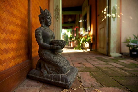 The Lotus Eater - C Tourism 7