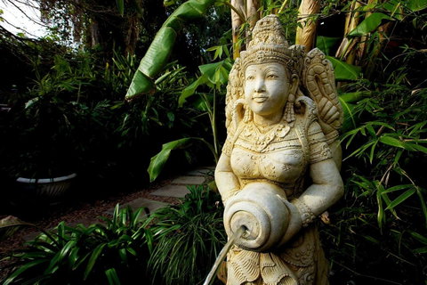 The Lotus Eater - C Tourism 18