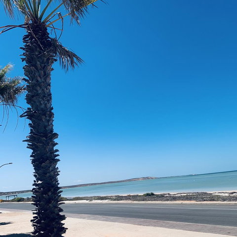 Bay Lodge - C Tourism 8