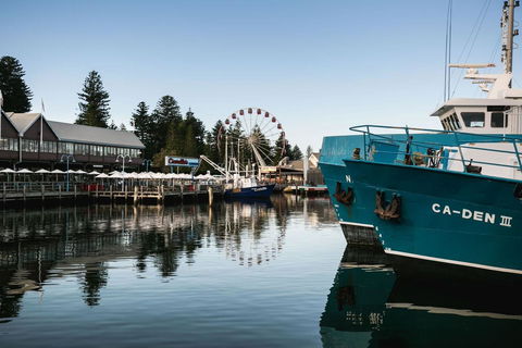 Oceanside 23 - C Tourism 25