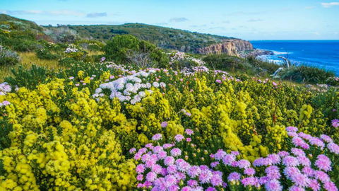 The Roozen Residence - C Tourism 30