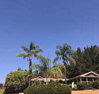 Forest Lodge Resort - C Tourism