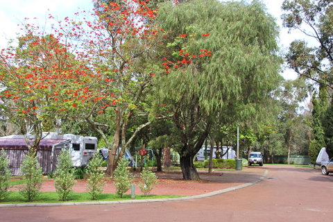 Margaret River Tourist Park - C Tourism 43