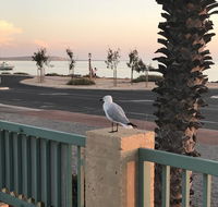 Shark Bay Seafront Apartments - C Tourism