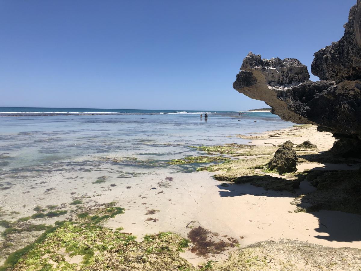 Yanchep WA C Tourism