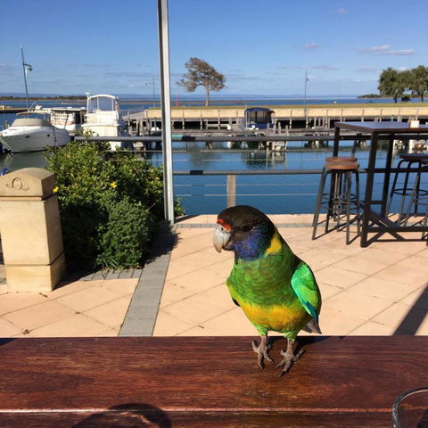 Mandurah Quay Resort - C Tourism 32
