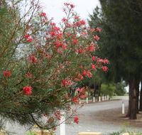 The Heights Bed  Breakfast - C Tourism