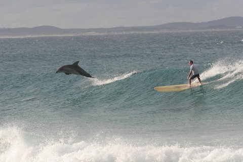 Crescent Head Spa Villa - C Tourism 22