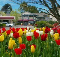 Nesuto Leura Gardens formerly Waldorf Leura Gardens Resort - C Tourism