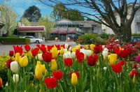 Book Leura Accommodation Vacations C Tourism C Tourism