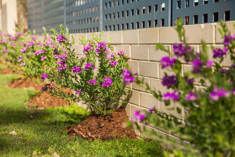 Kempsey Rose Motor Inn - C Tourism 15