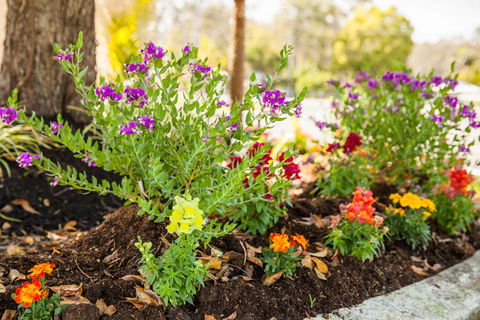 Kempsey Rose Motor Inn - C Tourism 28