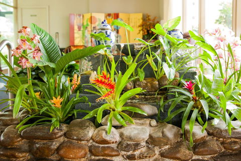 Kempsey Rose Motor Inn - C Tourism 44