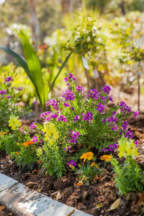 Kempsey Rose Motor Inn - C Tourism 6