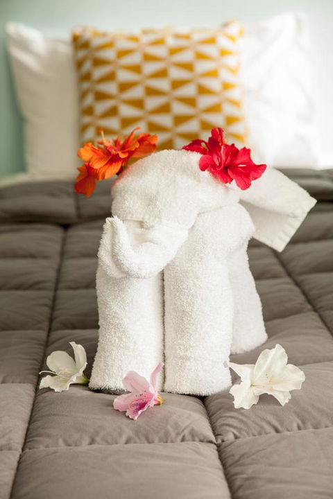 Kempsey Rose Motor Inn - C Tourism 17