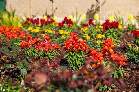 Kempsey Rose Motor Inn - C Tourism 20