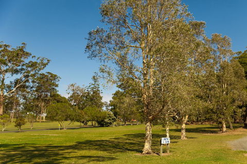 Kempsey Rose Motor Inn - C Tourism 32