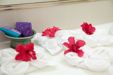 Kempsey Rose Motor Inn - C Tourism 14