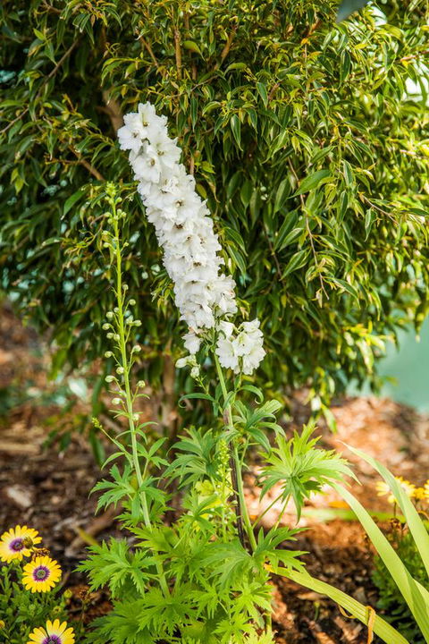 Kempsey Rose Motor Inn - C Tourism 37