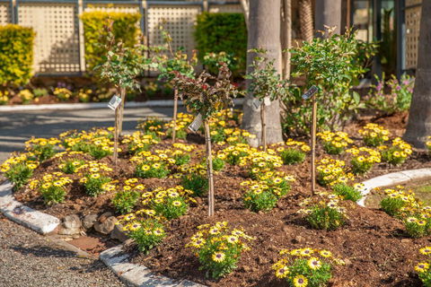 Kempsey Rose Motor Inn - C Tourism 23