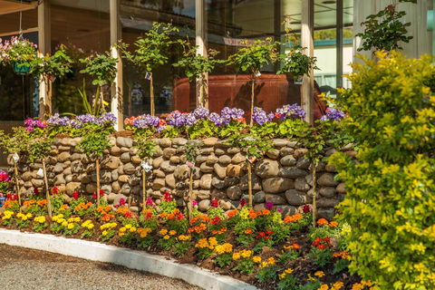 Kempsey Rose Motor Inn - C Tourism 34