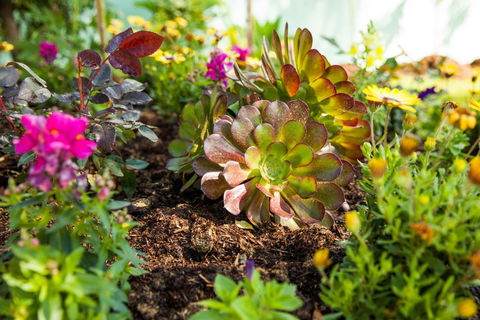 Kempsey Rose Motor Inn - C Tourism 35