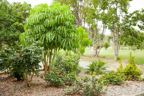 Kempsey Rose Motor Inn - C Tourism 42