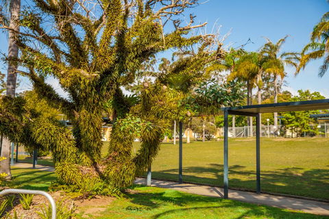 Kempsey Rose Motor Inn - C Tourism 41