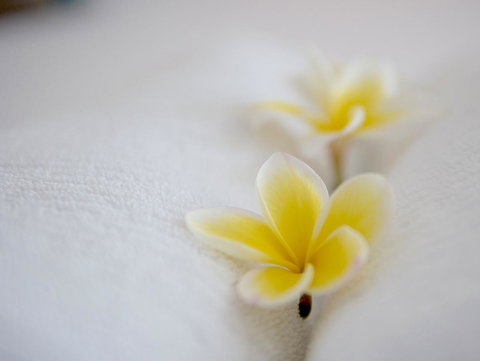 Cossies By The Sea - C Tourism 16