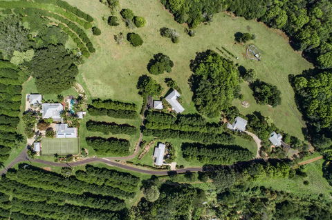 Byron Hinterland Villas - C Tourism 17