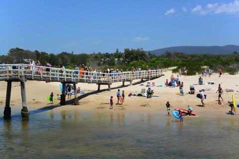 Bellhaven 2, 17 Willow Street - C Tourism 6