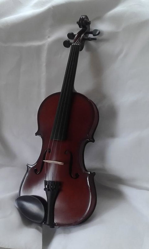 182 Anson Street - C Tourism 2