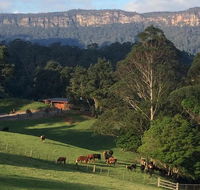 Amaroo Valley Springs - C Tourism