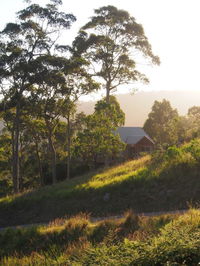 Book Bawley Point Accommodation Vacations C Tourism C Tourism