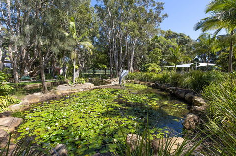 Flynns Beach Resort - C Tourism 8