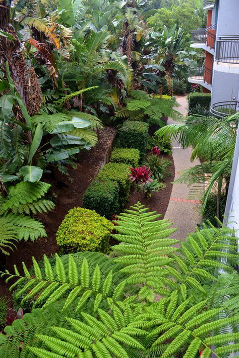 Flynns Beach Resort - C Tourism 17