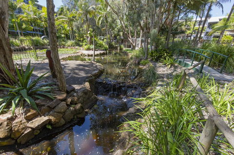 Flynns Beach Resort - C Tourism 13