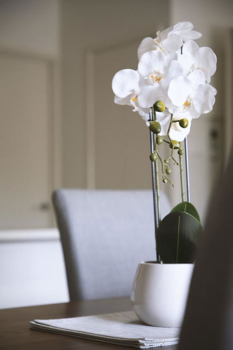 Quest Wagga Wagga - C Tourism 18