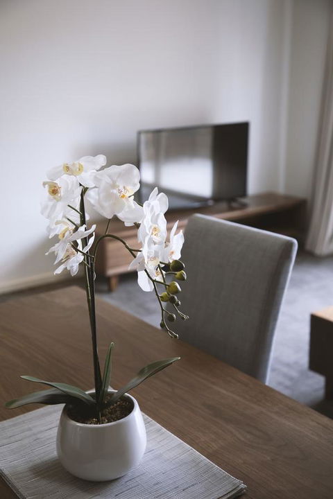 Quest Wagga Wagga - C Tourism 11