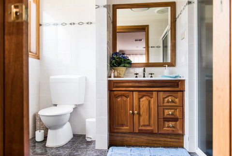 Ambience - C Tourism 13