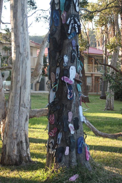 Ambience - C Tourism 33