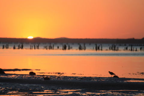 Ambience - C Tourism 35