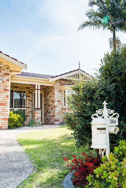 Ambience - C Tourism 2