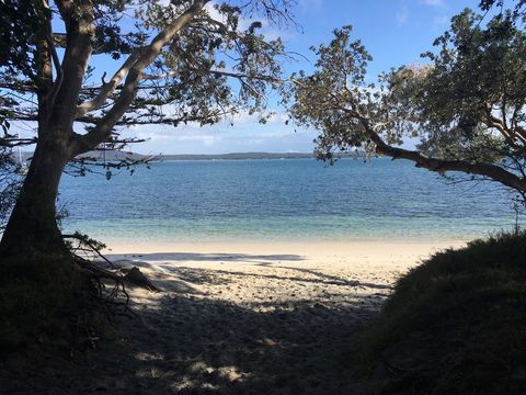 Ambience - C Tourism 1