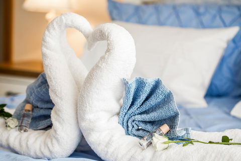 Ambience - C Tourism 11