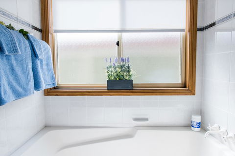 Ambience - C Tourism 22