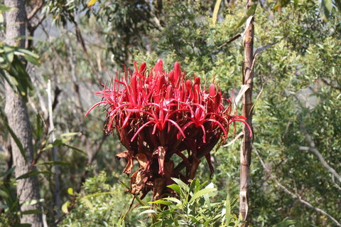 Ambience - C Tourism 30