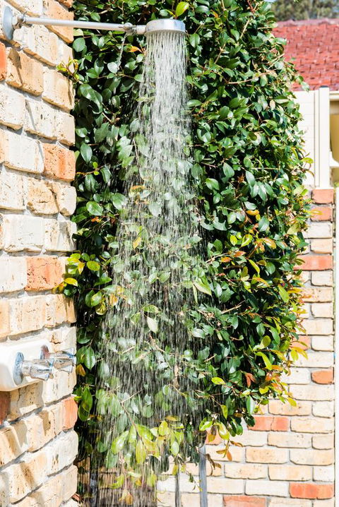 Ambience - C Tourism 24