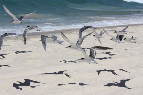 Ambience - C Tourism 32