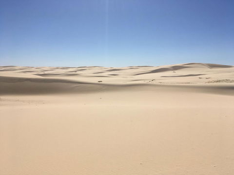 Ambience - C Tourism 34